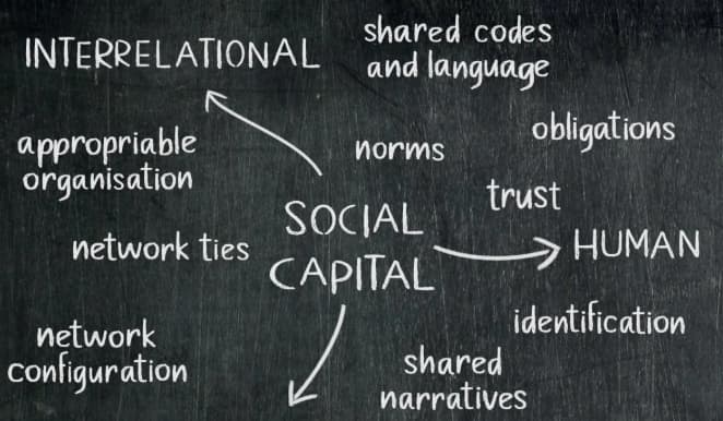 geleceğin kariyer anahtarı sosyal sermaye