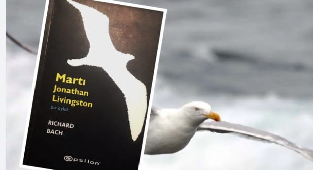 Martı Jonathan Livingston özet
