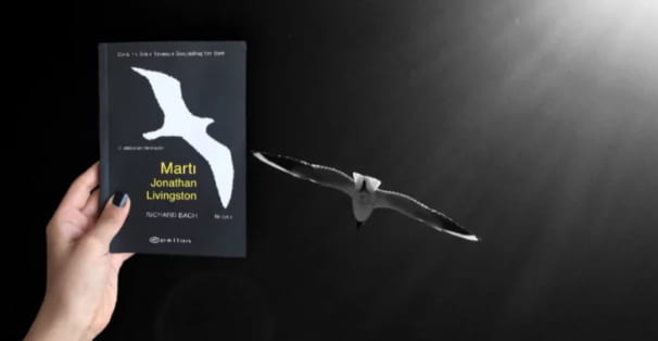 Martı Jonathan Livingston konusu