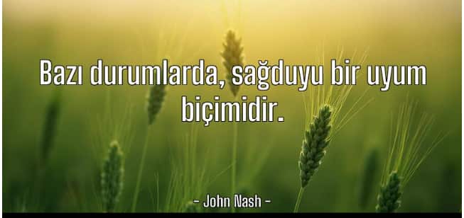 Sylvia Nasar kitap