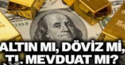 altın mı dolar mı