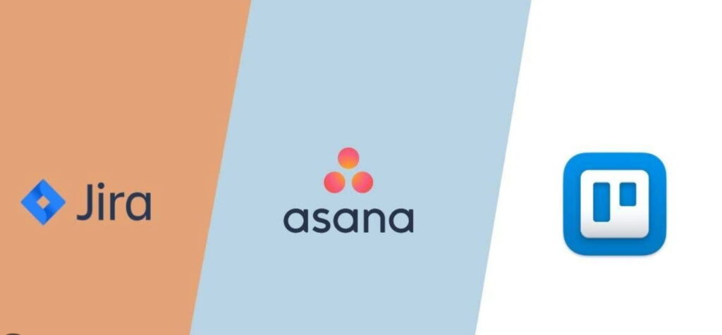 asana operasyon yönetimi