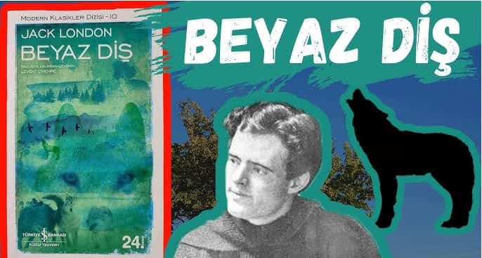 beyaz diş özeti
