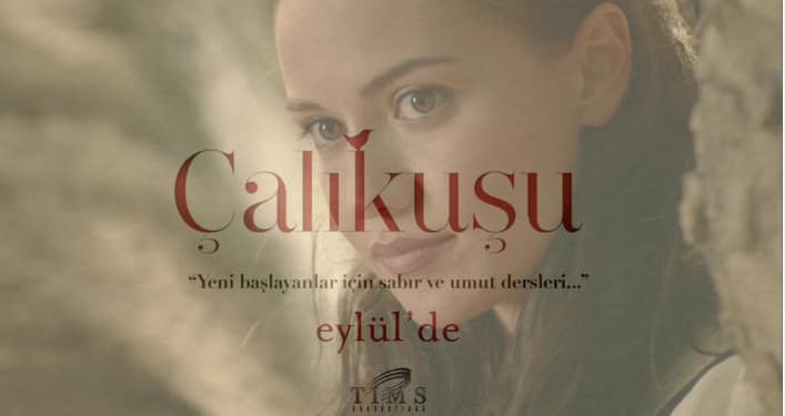 çalıkuşu özet