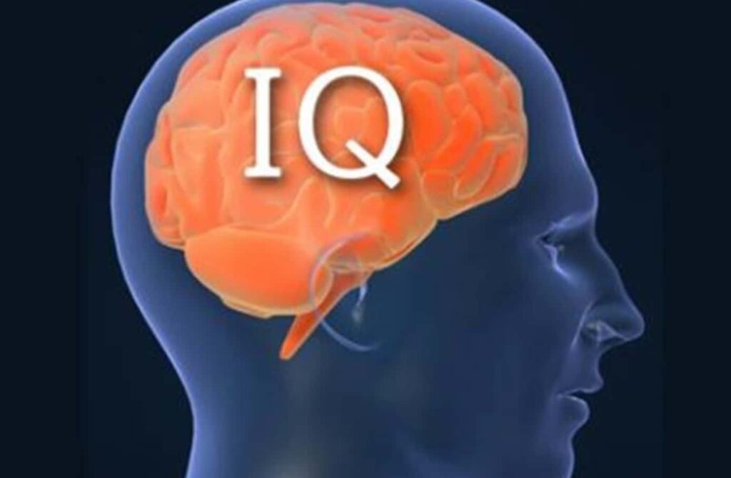 eq iq farkı