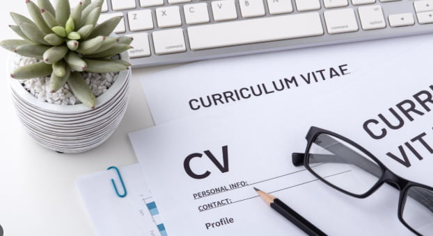 kariyer arası sertifika ve eğitim