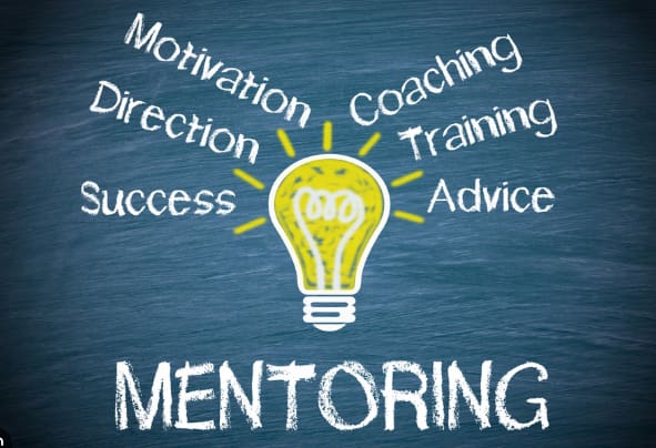 kariyer gelisimi ve mentorluk