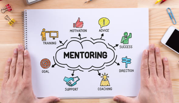 kurumsal gelisim ve mentorluk