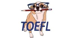 toefl essay yazma