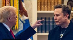 trump-musk kavgası