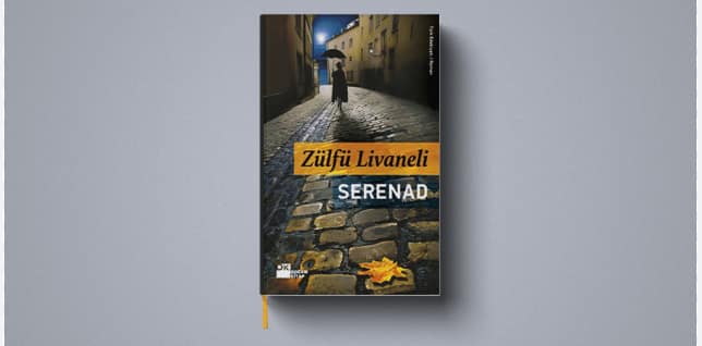 zülfü livaneli roman